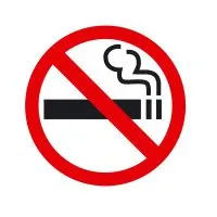 P01 Запрещается курить (Пленка 100 Х 100)	